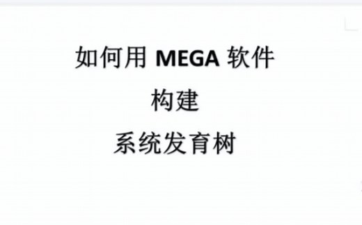 MEGA软件/系统发育树构建/NCBI