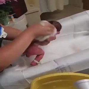 221K views · 10K reactions | Baby's first bath | Cats Survival | Facebook