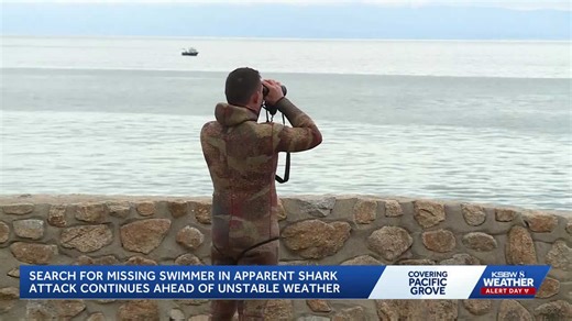 Sheriff’s dive team searches for swimmer missing after reported shark attack at Lovers Point