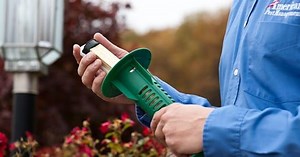 Which Termite Treatment is Most Effective