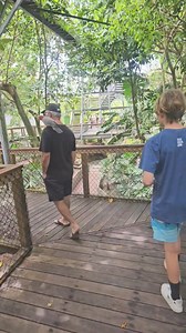Long time between posts, but I had to share our stay at Daintree Beach Resort. We decided to try their new family Luxe glamping tents and wow they are beautiful. Shower, toilet with basic things like kettle and coffee machine as well as a fridge. Access to the beach the park is dog friendly, beautiful pool and they have an outdoor eating area with lights, food van that has simple, affordable but delicious meals. Up the road is Hook-A-Barra also if your looking for a fun activity. They offer camp