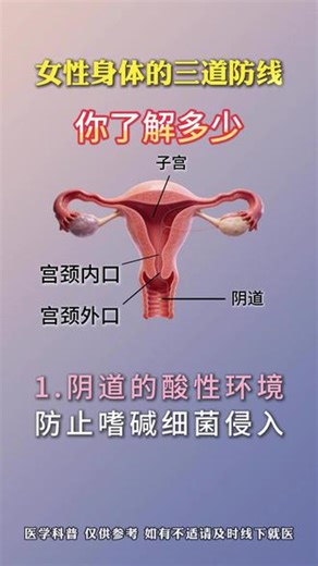 女性身体的三道防线，你了解多少 #郑州市中心医院 #妇科医生马金平 #子宫 #阴道 #宫颈