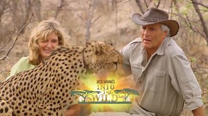 One Magnificent Morning Block Spot - CW (:15)