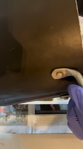 Pouring homemade bear soap in molds | Roger Price