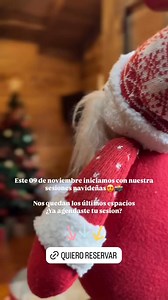 111 reactions · 13 comments | ❤️SESIONES NAVIDEÑAS 2024 Este año...