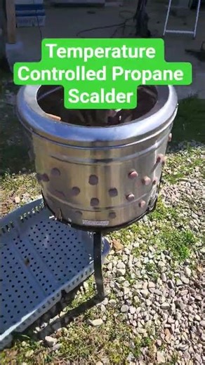 outdoor chicken processing setup with our temperature controlled propane scalder. #pasturedpoultry
