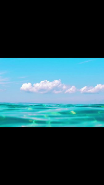 #biral #foryourpage #Galeophobia what’s ur phobia