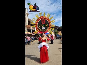 Desfile arcelia 2025