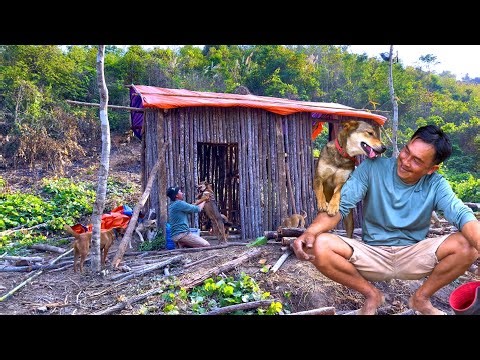 The emotional reunion of Sơn and his dogs at their new home in the forest.