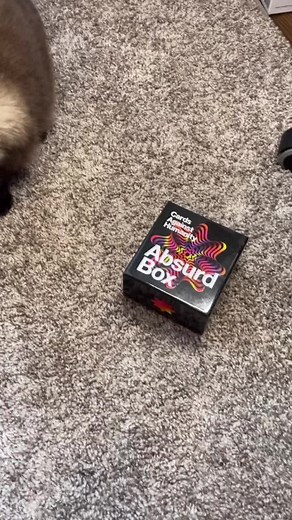 Cat scan. #fyp #cat #bap #darkjokes