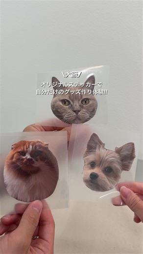 予約なしでふらっと行ける オリジナルグッズ作り体験🎨✨ STIQ STOREで 好きな写真をステッカーにして Tシャツやバッグに貼るだけで完成！ 指で押すだけで貼れて、 アイロンでしっかり固定（店員さんがやってくれるの安心◎） 洗濯OKなのも嬉しいポイント！ しかも持ち込みOKやから 服やカバンをそのままアレンジできるのすごすぎる😳 店内でトートやTシャツ、ポーチ買ってもいいし 持ってきてもOK！ 世界に一つ作りたい人はぜひ🙌 __ 【店舗詳細】 ▫︎店名：STIQ STORE ▫︎住所：大阪府大阪市中央区心斎橋筋2丁目7-5 ▫︎営業時間：11:00〜20:00 __ #STIQSTORE #STIQLAB #アバレルステッカー #STIQオリジナルステッカー #PR