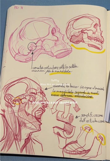 Studying 👍🤗 finally getting back in my anatomy books YAY ‼️ #art #selftaughtartist #drawing #anatomyart #artist