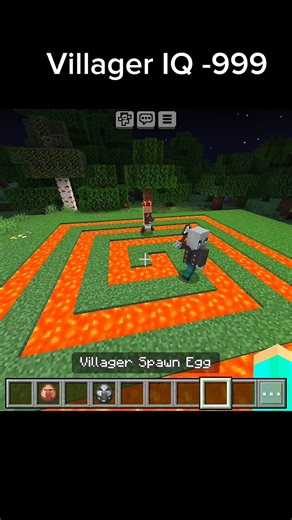 Villager IQ Test 😳