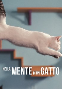 Nella mente di un gatto - guarda streaming online