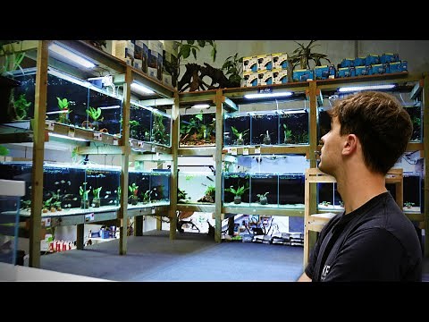 Incredible Hand Built Aquarium Store | Full Tour