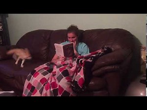 Frenetic Fennec Fox Runs Circles Around a Woman Relaxing on the Couch Trying to Read a Book