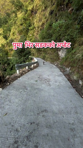 पुमा भिर सडकको पछिल्लो अपडेट — बेसीशहर घलेगाउ (Lamjung)