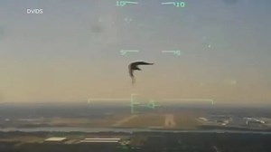 Newly released video shows terrifying moments bird flew into military jet