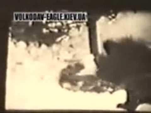 Sarplaninac Kills two Wolves protecting it's herd. Sarplaninacs are great LGDS. Great dogs.