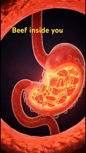 7 Shocking Effects of Beef 🥩 / Gosht Inside Your Body (You’ve NEVER Seen series #8)