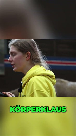 Equestrian debate: Leg protection – yes or no? #shorts