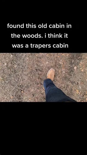 out in the bush in canada BC #canada #truck #cabin #old #bush #4x4 #find #adventure #BC #forest