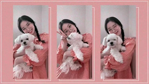 [YouTube]外网am 教程（侵权删）