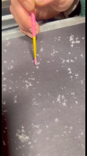 11K views · 75 reactions | A preserved snowflake feels like a quiet moment that chose to stay. #snowflakes #wintermagic #tinyart #naturejewelry #artwork | Preserved Snowflake CO | Facebook