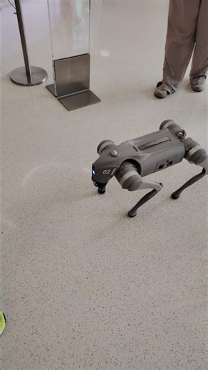 Robotic Dog in Action | Future of Pets