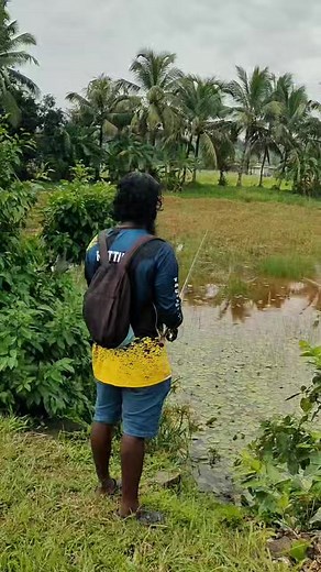 3.2K views · 74 reactions | Kerala snakehead fishing | DEEPU BABU VLOGS | Facebook