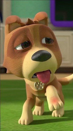 Bingo (Baby's First Pet) 🐶🎶 | Newborn Nursery Rhymes & Kids Songs