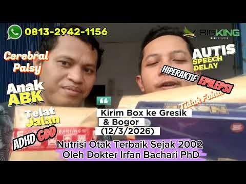 NewB Brainking kirim Gresik & Bogor. nutrisi Otak AUTIS SPEECH DELAY EPILEPSY ADHD TIDAK FOKUS ADHD