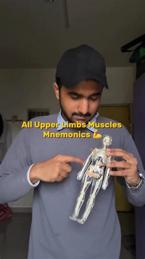 MANISH | MBBS STUDENT on Instagram: "All the mnemonics to remember Upper Limbs Muscle are Listed in this PDF, just comment ‘Upper Limb’ to get the pdf in your Dms."