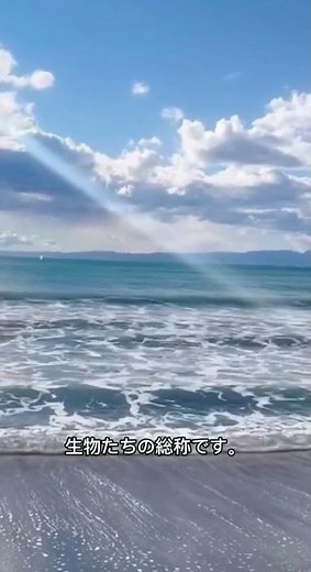 60日目 原核生物って知ってますか？