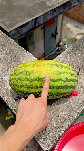 Experiment: Will a watermelon explode if it rolls down a tall building? 🍉💥