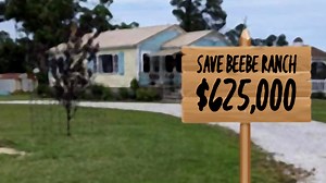 Museum of Chincoteague Island hopes to save Beebe Ranch from being sold to developers