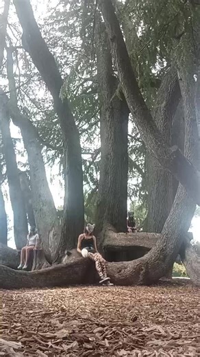 does this look cool? I think so!!❤ #alterhumancommunity #theriancommunity #hunted_creature #therian #alterhuman