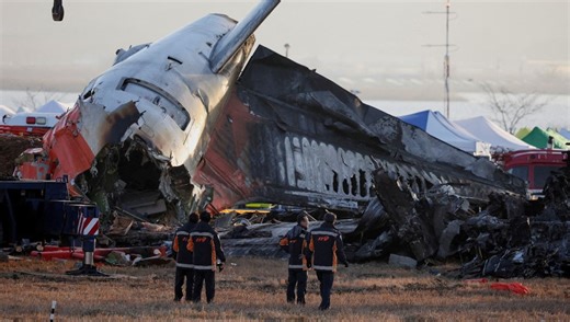 Kuş sürüsü 179 can almıştı: Termal kamera ve radar önlemi alınacak | NTV Haber