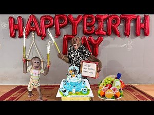 Abu Happily Celebrates His 8th Birthday with Baby Monkey