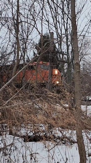 Norfolk Southern train 29P sneaks through the woods with BNSF power! 21726 #shorts #locomotive