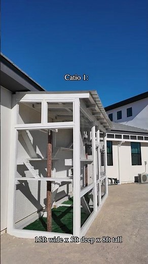 Come check out this custom catio featuring 40ft of tunnel! 🙀💛 #cat #catenclosure #catpatio #catio