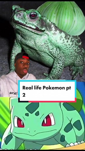 Real Life Pokémon Encounter with Mantis Shrimp | Nature Exploration