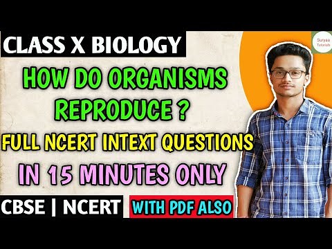 Full Ncert Intext Questions Ch - 8 How do Organisms Reproduce Class 10 CBSE Science