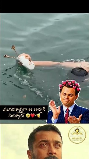 నిజమైన మానవత్వం | Rescuing a Bird With a Fish Hook Stuck in Its Mouth! 🥹❤️🐦 | Humanity | Telugu