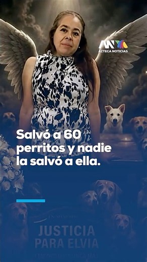 She dedicated her life to rescuing abandoned dogs, but lost her own at the hands of her partner