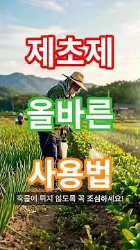 농약사 가기 전 필수 시청! 선택적/비선택적 제초제 차이와 올바른 살포 방법 완벽 정리 👩‍🌾 ​#제초제사용법 #잡초제거 #텃밭가꾸기