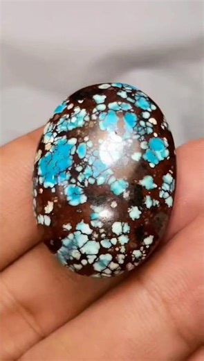 Bisa COD💥W34🔶️Pirus Persia Ceplok Beras kutah .besar. Pete,harga Rp 2,600 Ribu W,a 085792493877