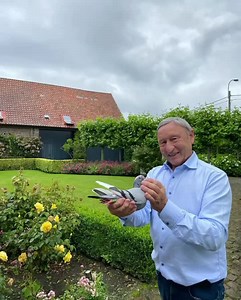 Congratulations to Etienne Meirlaen, the winner of 3rd national 2021 Agen against 6,938old pigeons.👏👏👏 Distance: 814km Speed: 1,262 m/min #pigeons #pigeonsofinstagram #pigeonlovers 🎉🎉🎉🎉🎊🎊🎊🎊🎉🎉🎉🎉 🎊🎊🎊🎊🎉🎉🎉 🎉恭喜恭喜倚天.梅尔浪，他拿下2021阿让全国赛成鸽组 6,938羽季军。👏👏👏 距离： 814公里 分速：1,262米/分 #赛鸽 #鸽子 #信鸽 🎉🎉🎉🎉🎊🎊🎊🎊🎉🎉🎉🎉 🎊🎊🎊🎊🎉🎉🎉 | P-BAY - auctions of top quality racing pigeons
