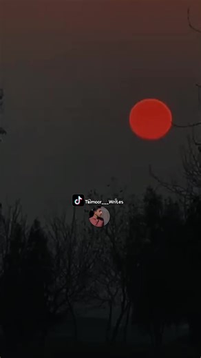 Inspiring Poetry Moments with Meesum Khokhar