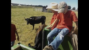 Agritourism is a Growing Industry in Arkansas